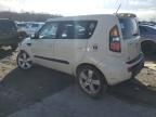 2010 KIA Soul +