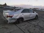 2009 Toyota Camry Hybrid