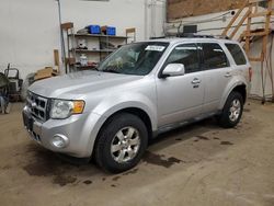 Carros con título limpio a la venta en subasta: 2010 Ford Escape Limited