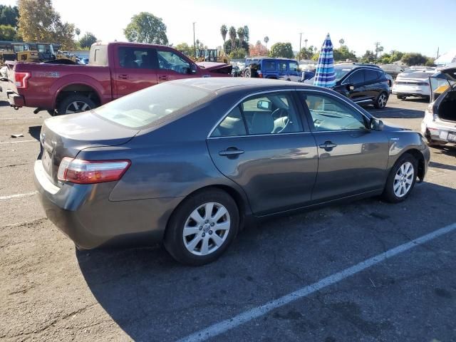 2009 Toyota Camry Hybrid