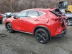 2024 Lexus NX 450H Luxury