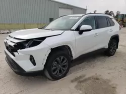 Toyota rav4 xle Premium salvage cars for sale: 2024 Toyota Rav4 XLE Premium