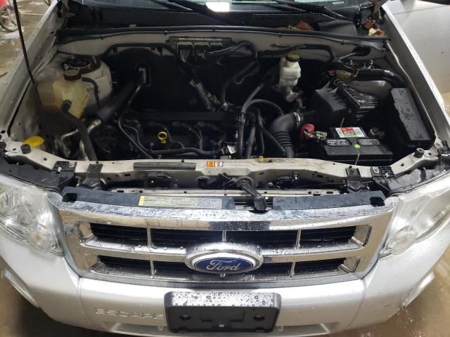 2010 Ford Escape XLS