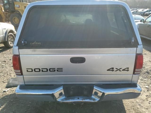 2001 Dodge Dakota Quattro