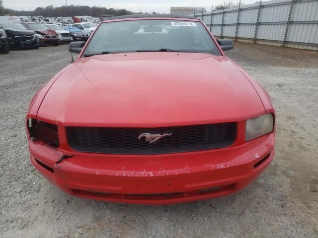 2005 Ford Mustang