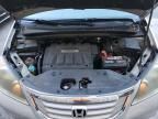 2008 Honda Odyssey EXL