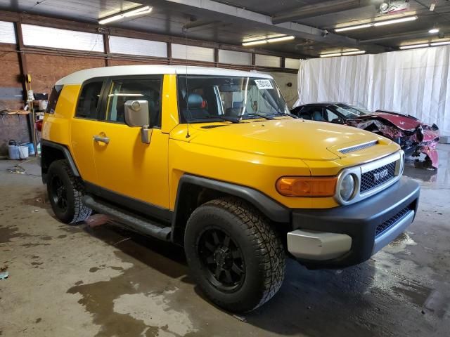 2007 Toyota FJ Cruiser