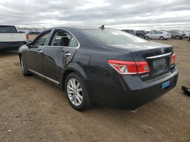 2010 Lexus ES 350