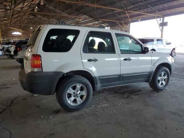 2007 Ford Escape XLT