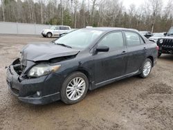 Salvage cars for sale at Cookstown, ON auction: 2010 Toyota Corolla Base