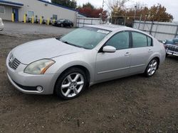 Nissan Maxima salvage cars for sale: 2006 Nissan Maxima SE