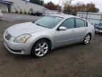 2006 Nissan Maxima SE