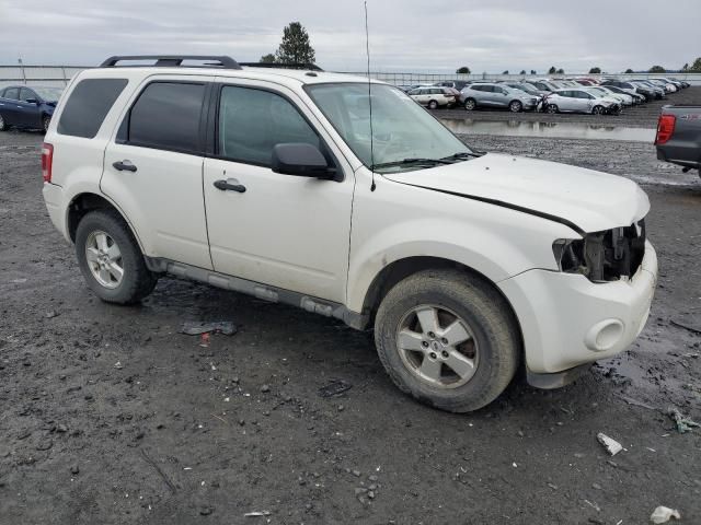 2009 Ford Escape XLT