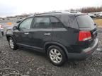 2011 KIA Sorento Base