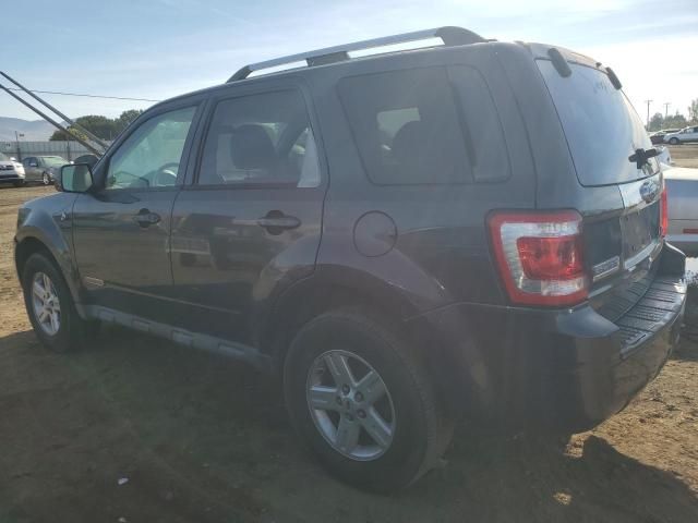 2008 Ford Escape HEV