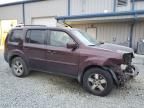 2011 Honda Pilot EXL