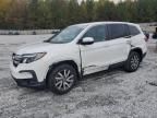 2020 Honda Pilot EXL