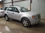 2010 Ford Escape XLS