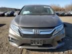 2019 Honda Odyssey EXL