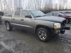 2005 Dodge Dakota Quattro