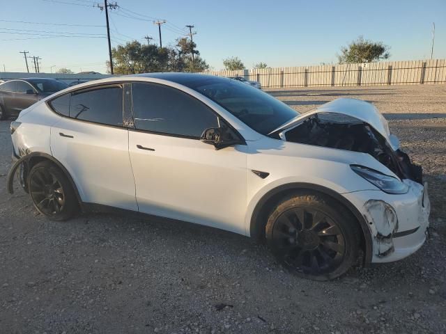 2020 Tesla Model Y