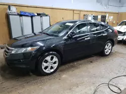 Salvage cars for sale from Copart Kincheloe, MI: 2011 Honda Accord Crosstour EXL