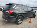 2019 Honda Pilot EXL