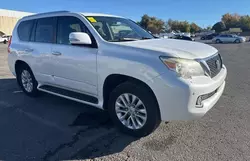 Copart GO Cars for sale at auction: 2012 Lexus GX 460 Premium