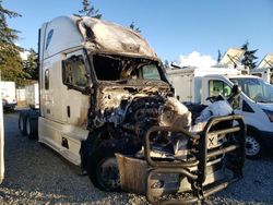 Freightliner salvage cars for sale: 2024 Freightliner Cascadia 126