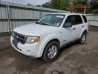 2008 Ford Escape XLT