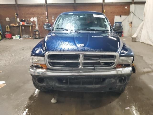 2004 Dodge Dakota Quad SLT