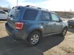 2010 Ford Escape Limited