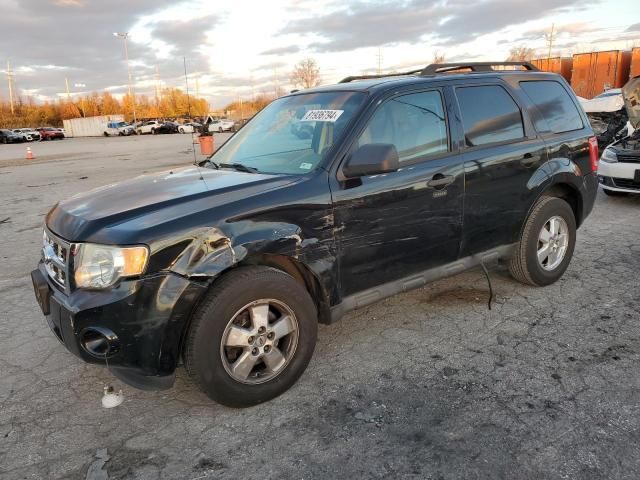 2011 Ford Escape XLT