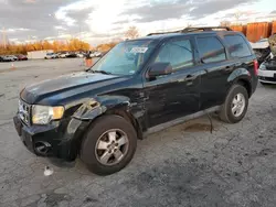 Vehiculos salvage en venta de Copart Bridgeton, MO: 2011 Ford Escape XLT