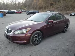 Salvage cars for sale at Marlboro, NY auction: 2008 Honda Accord EXL