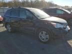 2010 Honda CR-V EXL