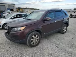 2013 KIA Sorento LX en venta en Earlington, KY