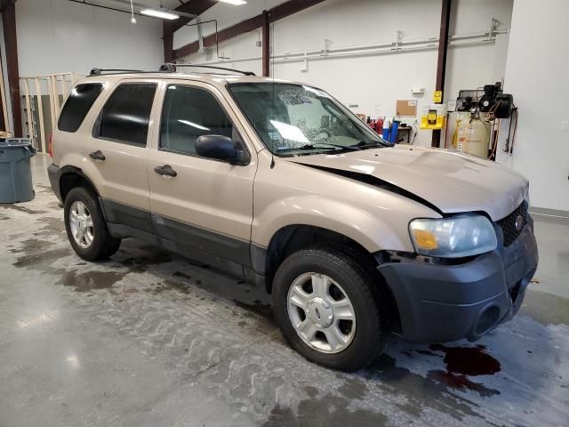 2007 Ford Escape XLT