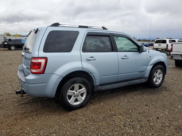 2008 Ford Escape HEV