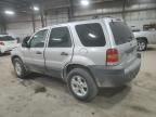 2007 Ford Escape XLT