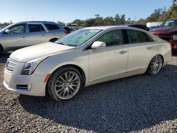 Salvage cars for sale from Copart Riverview, FL: 2013 Cadillac XTS Platinum