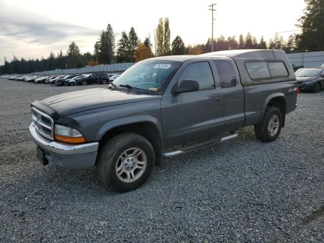 2004 Dodge Dakota SLT