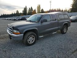 Dodge Dakota salvage cars for sale: 2004 Dodge Dakota SLT