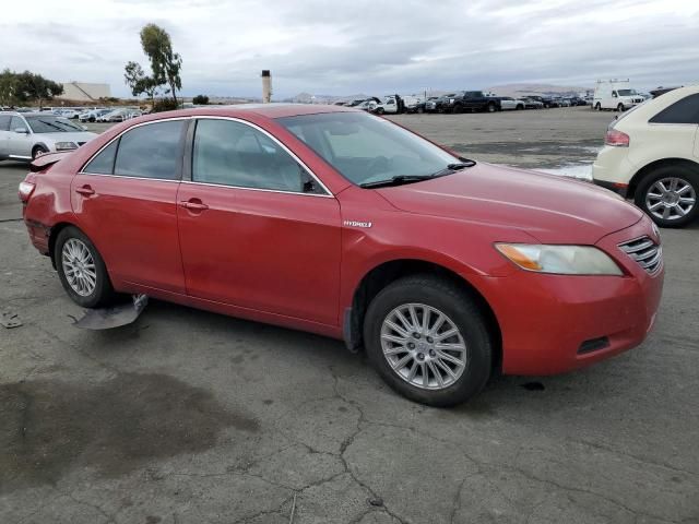 2009 Toyota Camry Hybrid