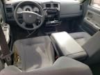 2007 Dodge Dakota Quad SLT