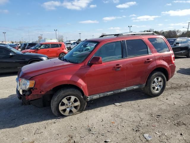 2012 Ford Escape Limited