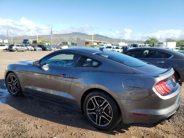 2023 Ford Mustang