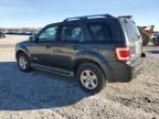 2008 Ford Escape HEV