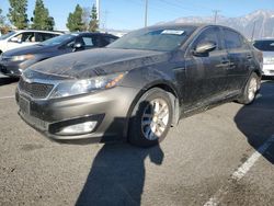 KIA salvage cars for sale: 2013 KIA Optima LX