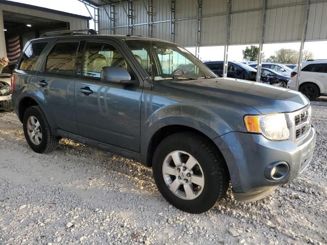 2010 Ford Escape Limited